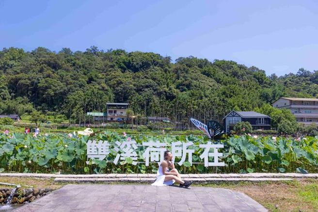 每年荷花盛开时，双溪双溪上林里荷花田总是吸引游客前来赏花。　图：新北市政府观光旅游局／提供
