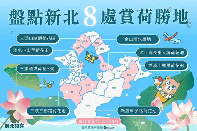 新北赏荷8处胜地，快来搜集各地荷花美照。　图：新北市政府观光旅游局／提供
