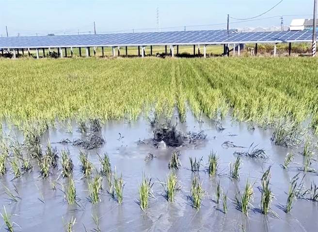 距离上次不到3个月，万丹泥火山再度喷发。(陈玉意提供)