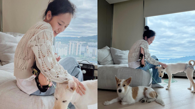 金高銀表態願意收留身體有問題的狗狗月兒。(圖/金高銀 IG)