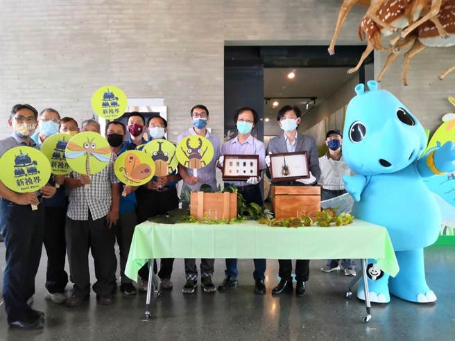 左镇化石园区7月2日起推出「虫‧新视界」展览。（曹婷婷摄）