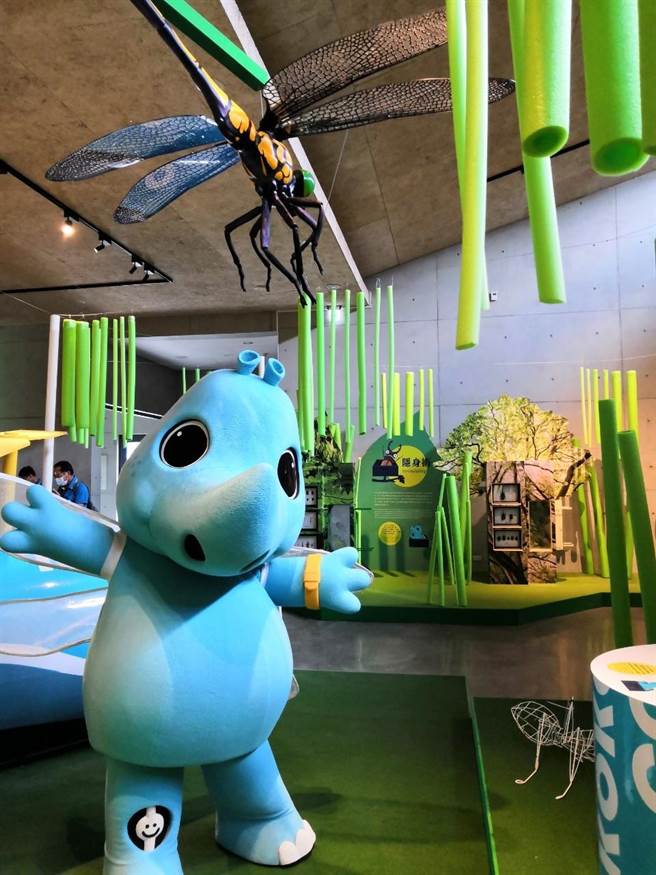 左镇化石园区7月2日起携手国内古生物昆虫专家和标本收藏馆，推出「虫‧新视界」展览，以「巨大化昆虫」为主角，游客可透过昆虫视角认识大自然。（曹婷婷摄）