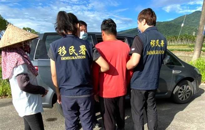 越南籍男子在台东辣椒园非法被查获。（台东专勤队提供）
