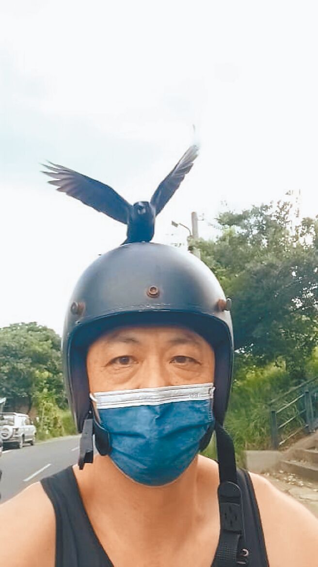 乌鹙攻击骑士险象环生，云林县北港镇公馆里里办公处将设告示牌示警。（读者提供／张朝欣云林传真）