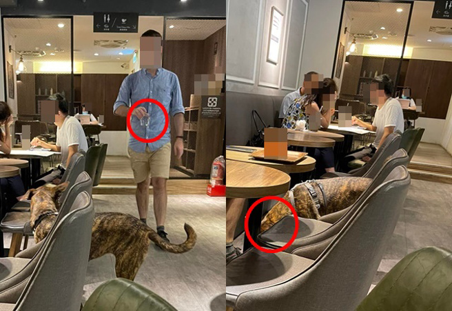 他發文怒控老外拿店家提供的玻璃杯裝水給狗狗喝，網怒嗆：「下次請直接跟他講，不要上網XX」。（圖／翻攝自爆料公社二社）