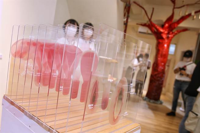 全台第一间月经博物馆「小红厝」29日盛大开幕，博物馆空间内，除有许多从身体样态出发的作品，还有以真实经验为主体的故事分享。（杜宜谙摄）