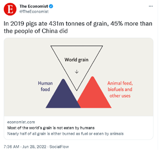 將豬和中國人作對比 英國《經濟學人》澄清聲明並刪文