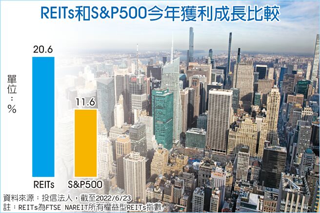 REITs和S&P500今年获利成长比较