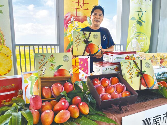 台南愛文芒果今年產量大減7成，價格水漲船高，台南農產運銷公司行銷愛文芒果禮盒，平均比去年貴350元至500元不等，但消費者仍趨之若鶩。（曹婷婷攝）