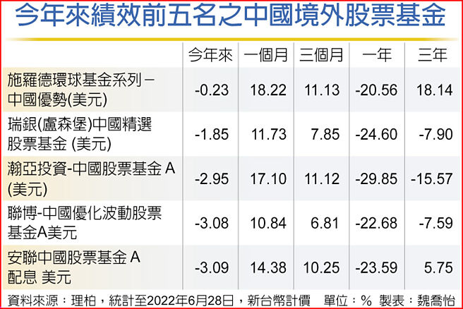 今年来绩效前五名之中国境外股票基金