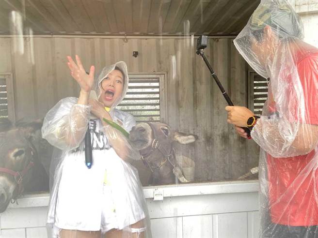 廖家仪上《飢饿游戏》喂驴子吓到花容失色。（中视提供）