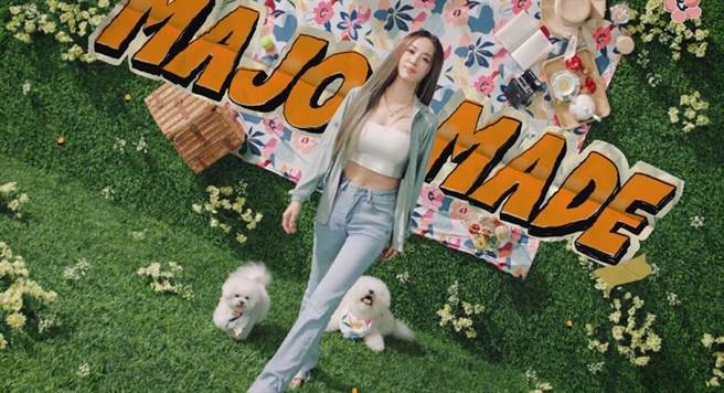 蔡依林的愛犬屋虎與社長一同入鏡拍廣告。（MAJOR MADE提供）