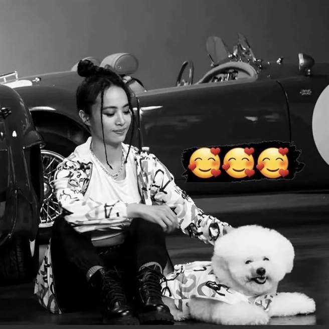 蔡依林高人氣帶動品牌業績成長3倍。（MAJOR MADE提供）