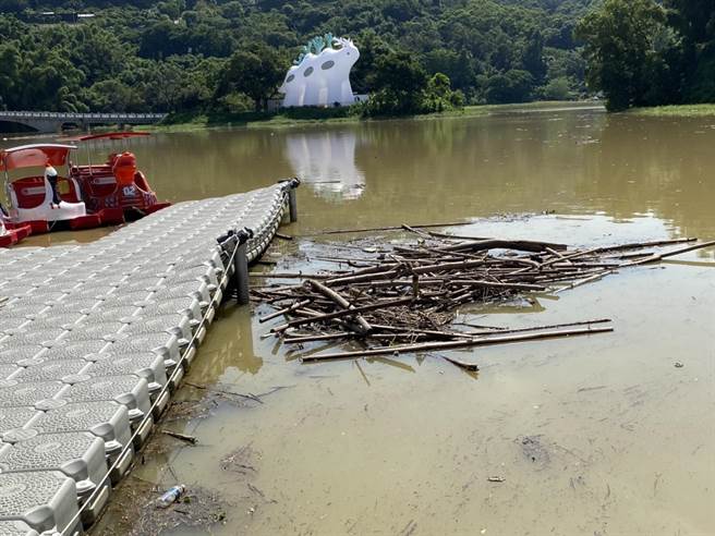 蓝营市议员批评，日前降下大雷雨后，青草湖面漂满枯枝淤泥。（市议员林耕仁提供／王惠慧新竹传真）