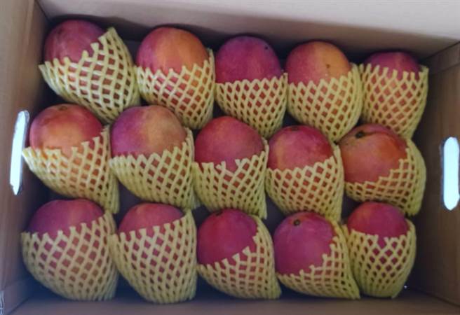 销至澳门的芒果遭检出新冠病毒。示意图。（林周义摄）