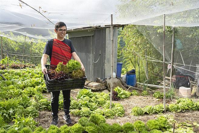 台湾世界展望会和星巴克自1999年起携手关怀原住民孩童教育发展，每年透过「原住星希望」支持台中和平区，南投信义乡、仁爱乡、水里乡、埔里镇，和嘉义阿里山乡儿童。（展望会提供／林良齐台北传真）