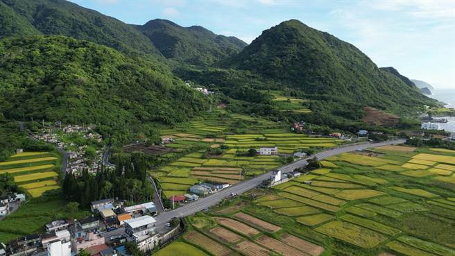 新社梯田位于花莲县台11线上，为全台最大的滨海阶梯式梯田，右上方山头为当地最高的「拉拉板山」（Lalaban）。（黄子明摄）