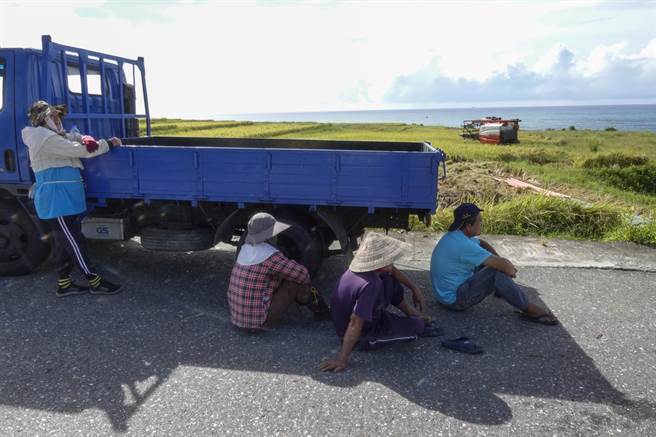 近来天气炎热，新社梯田无处遮阳，农民休息时躲在车子阴影下乘凉。（黄子明摄）