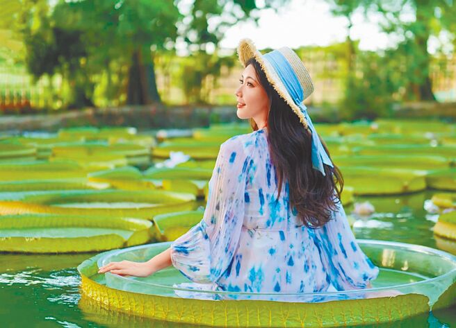 2022桃園蓮花季以「荷你相癒」為主題，活動從7月2日至8月28日。（桃園市農業局提供／陳夢茹桃園傳真）