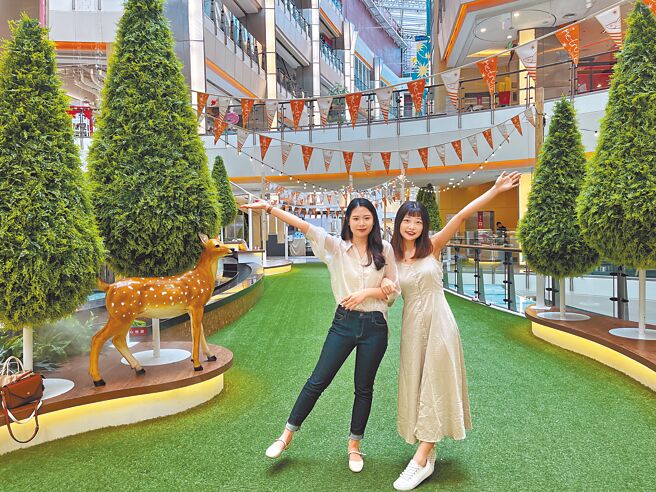 大江购物中心今夏特别打造全新室内森林系拍照打卡景点「森。音」，宽敞舒适的环境伴随流水鸟鸣，不必顶着大太阳也能惬意地感受夏日风情。（大江购物中心提供）