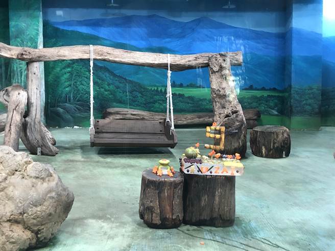 園方特別用葡萄、奇異果、鳳梨、紅蘿蔔等材料製作成大貓熊「圓仔」的生日蛋糕。（張芷瑜攝）