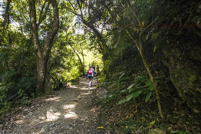 歷史老師陳啟鵬以短短2天橫跨竹縣8鄉鎮市12條步道，最先到尖石鄉老鷹溪步道。（羅浚濱攝）