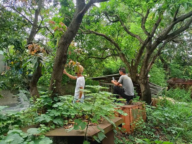 高市大寮區1家油品公司1日趁雨天偷排汙水，居民扮演「柯南」蒐證。（高市議員邱于軒提供／柯宗緯高雄傳真）