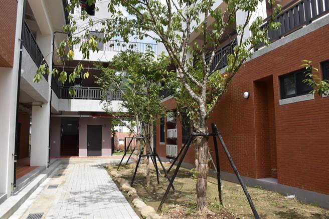 新的南庄分駐所種了多棵櫻花。（謝明俊攝）