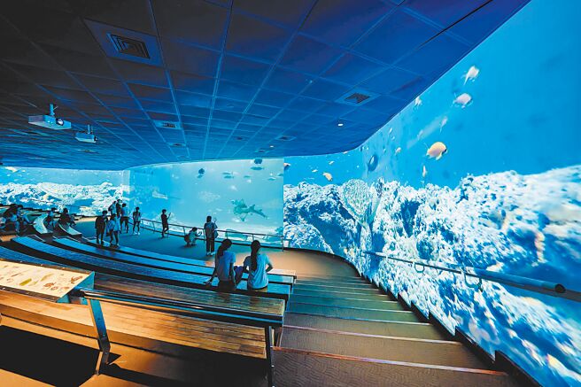 迎接暑假來臨，屏東海生館全新打造大洋池環繞沉浸式投影，實景與影像融為一體，視覺震撼感十足。（謝佳潾攝）