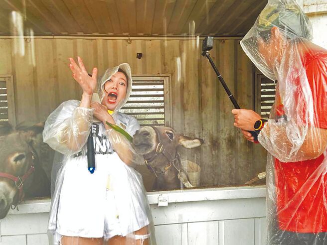 廖家仪上《飢饿游戏》喂驴子吓到花容失色。（中视提供）