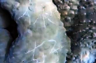 蘭嶼海底珊瑚被刻「你好」 潛水教練怒了！PO照網炸鍋