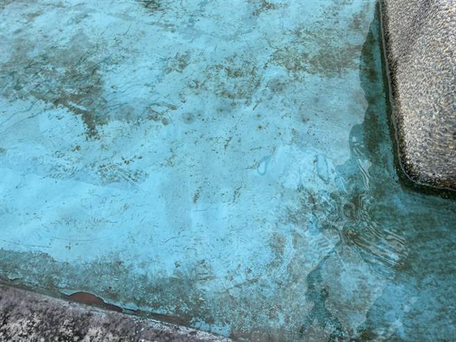 近看看得出池子底部仍相当滑。（洪靖宜摄）