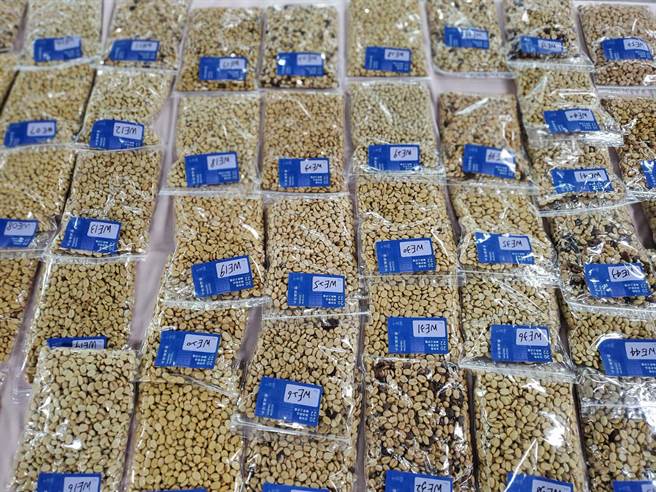 今年参赛的水洗豆。（周丽兰摄）