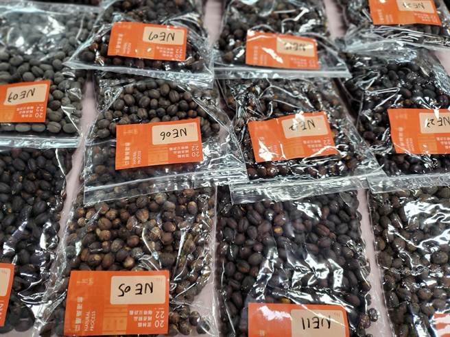 今年参赛的日晒豆。（周丽兰摄）