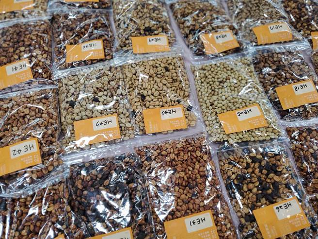 今年参赛的蜜处理豆。（周丽兰摄）