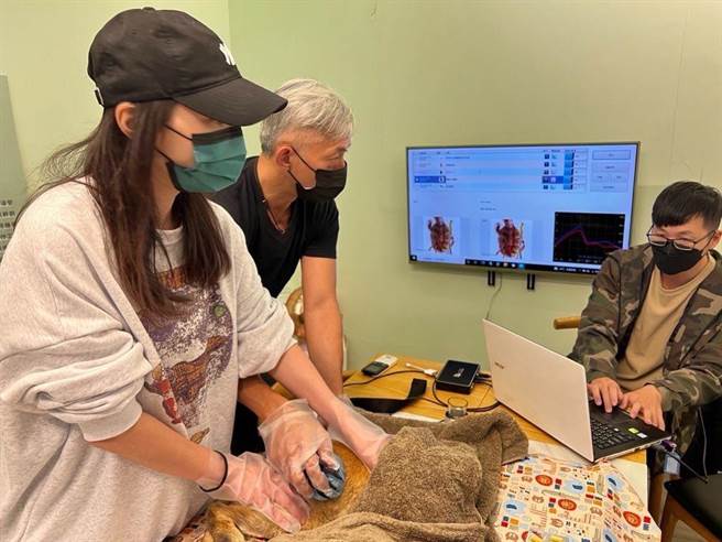 台北展昭寵物用品展7月8日至7月11日在南港展覽館舉行，期間將免費提供 AI健檢。(Holy Pet提供)