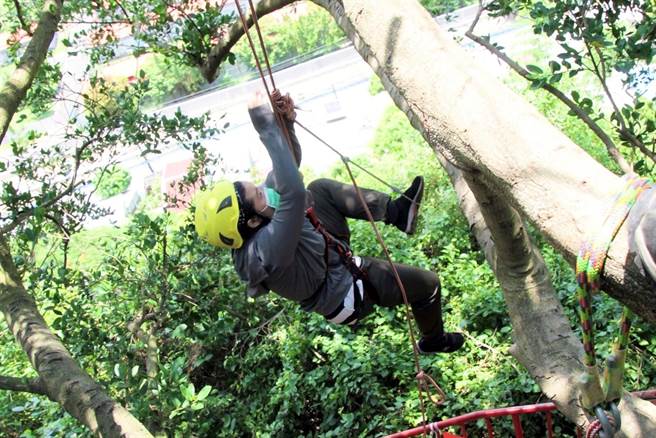 高雄市林园区港埔国小4日为毕业生举办了特别的成年礼，以爬树的方式让毕业生完成成年之礼。(港埔国小提供／杨舒婷高雄传真）