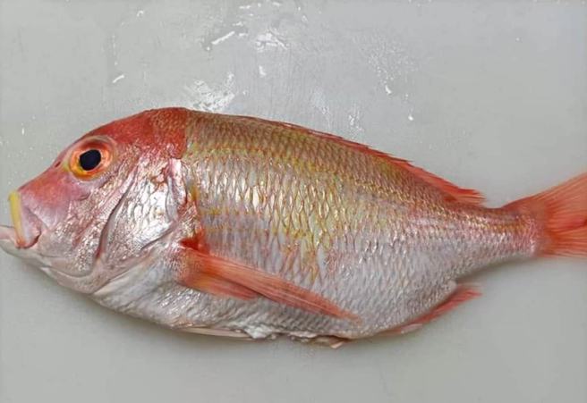 网友PO煎鱼初体验，吸引3万人狂讚。（图／翻摄自爆料公社）