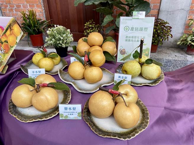 聞名全台的「三星上將梨」採收上市中，宜蘭縣三星地區農會以三星上將梨結合在地好茶推出「2022三星梨饗茶香產業活動季」，農會更趁勝推出「猜猜看！誰是今年的上將梨王」趣味活動，即日起參加者猜中，就有機會獲得好禮。（吳佩蓉攝）