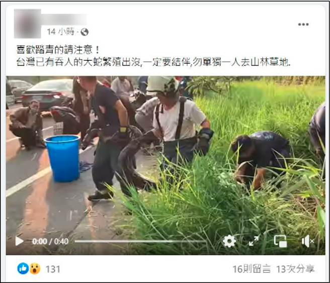 网路近来疯传台湾有吞人的大蟒蛇出没。（撷取自脸书社团）