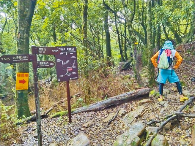 李素珍提到加里山步道地貌、地形相似，附近一带都是森林，不熟悉的山友，容易在其中迷失。（李素珍提供／李京升苗栗传真）