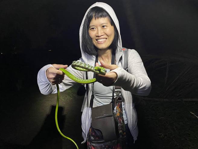 喵喵老师以实地五感体验，解开昆虫与爬虫的神秘面纱。(葫芦墩文化中心提供)