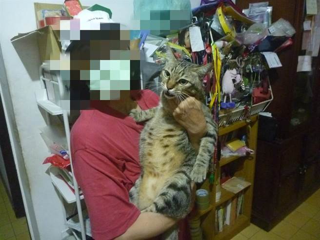 員警幫洪姓婦人尋回愛貓。（翻攝照片）