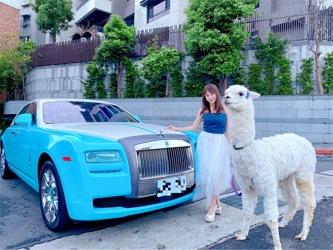 王宥忻热爱动物，家中共养了15只萌兽。(固力狗娱乐提供)