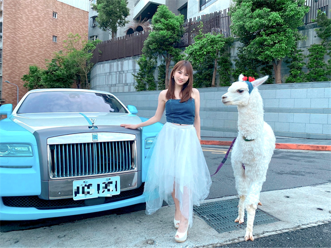 王宥忻热爱动物，家中共养了15只萌兽。(固力狗娱乐提供)