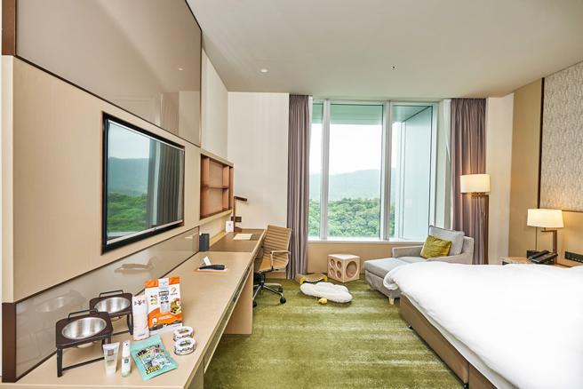 台北六福萬怡酒店推出「毛孩FUN風趣-住房專案」打造汪喵主題房，房內備齊寵物用品，還首創引進獸醫健康諮詢服務。（六福旅遊集團提供）