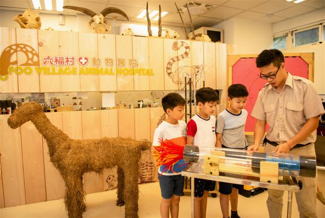 台北六福萬怡酒店與集團內六福村獸醫團隊合作，於7月底邀請專業獸醫到館內提供獸醫健康諮詢服務。（六福旅遊集團提供）