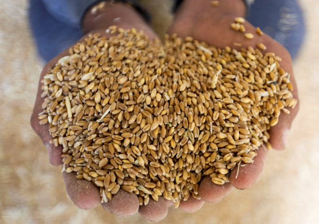 因疫情后需求復甦、气候变迁及成本提升，自2020年中以来逐步上扬的粮食价格，因乌克兰战争更加陡升。（图/ 远见提供）