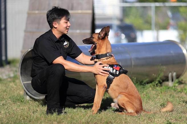 领犬员林志伦陪伴「粗骨」许久。（新北刑大提供／李奇叡新北传真）