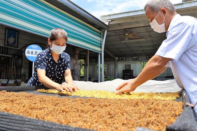 屏东农夫黄颖（右）种金银花闻名，疫情间不少药商找上门谈合作，但他拒绝并不惜成本将花乾燥处理后直接卖给消费者。（谢佳潾摄）